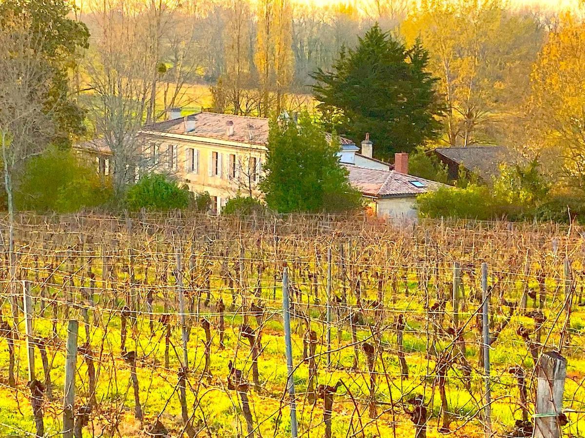 Villa Fabuleux - Domaine Du Moulin D'Andraut Bordeaux-Chevaux-Golf-St Emilion Montussan Exterior foto